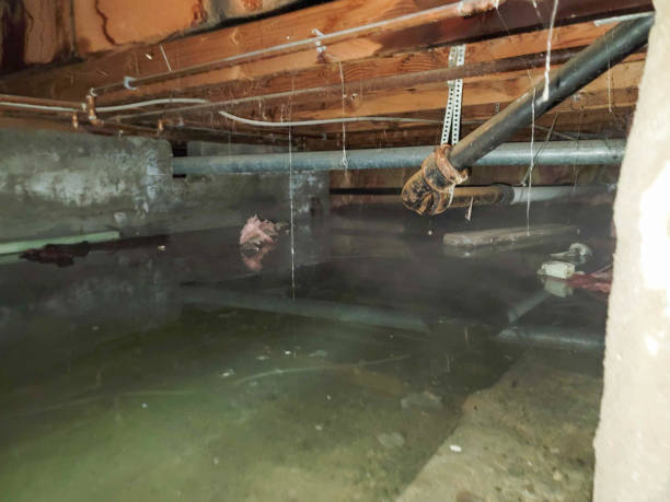 Trusted Fredericksburg, PA Water damage restoration Experts