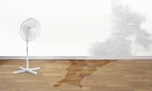 Best Sewage cleanup and water damage restoration  in Fredericksburg, PA