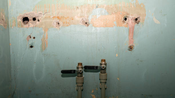 Best Flood restoration services  in Fredericksburg, PA